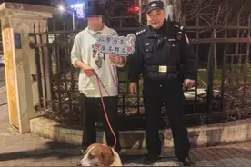 顽皮比格犬意外走失，警民联手寻主温暖人心图片