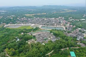 阳江：着力破解村民小组管理难题，积极构建“四级党建网格+”模式图片