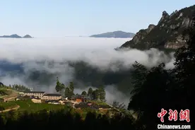 人这一辈子，一定要去一趟政和！图片
