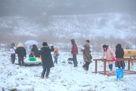 瑞雪迎客来图片