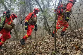新春走基层｜群众过节 我们守护 探访麦积山下的森林卫士图片
