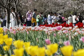 早上6点就开始！ 这个周末，人人人花花花堵堵堵图片