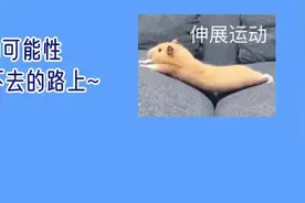 跑步、跳绳、打球……孩子运动容易受伤？怎么避免？图片