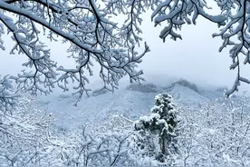 河南云台山雪后现雾凇、云海奇景图片