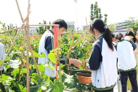 杭州这所职高有了自己的农场图片