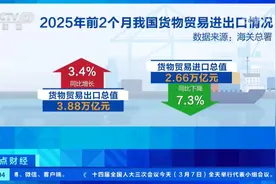 前2个月我国货物贸易进出口总值6.54万亿元 货物贸易平稳开局 民营企业表现亮眼图片