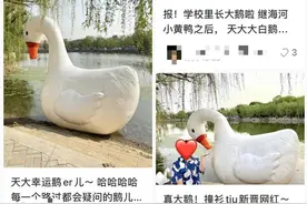大学生把5米高的作业“丢”水里！朋友圈刷屏……图片