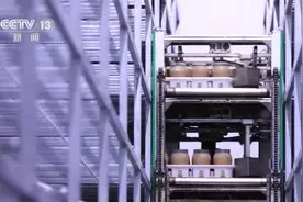 小菌菇开出“致富伞” “智慧农业设备+良种”种出新“食”尚图片