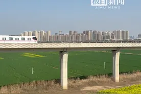 外交部发言人毛宁点赞武汉地铁16号线，“最美观江地铁”吸引江西游客前来欣赏油菜花海图片