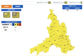 雷雨+大风！佛山五区黄色预警信号生效图片