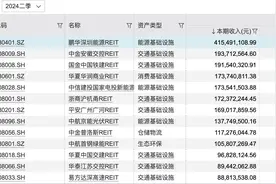 公募REITs二季度业绩盘点：能源类表现强劲，消费基础设施稳定图片