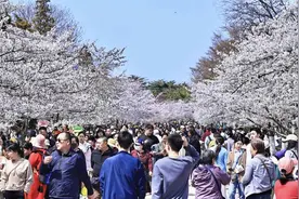 青岛地铁两座车站服务上新！还有一条提醒，去中山公园赏樱一定要看→图片