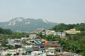 韩国因高温就医人数超去年同期，当地华人：空气潮湿，体感温度高图片