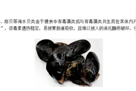 提醒！这种贝类最近别吃！检出毒素超标……图片
