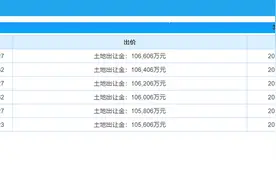 激战242轮！济南长岭山土拍大战谢幕，楼面价约1万元/平方米图片