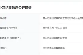 交付未经检验的起重机械，丽水市超起起重机经营部被罚款3万图片