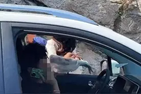 遭路虎女逆行殴打的男子回应：对警方处理结果满意吗？当时为何没还手？图片