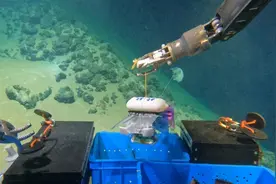 突破“指甲盖上站犀牛”高压强难题，小型机器人抵达万米深海图片