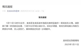 深圳市龙岗区通报一草地发生火情：草地着火导致引燃部分车辆，无人员伤亡图片