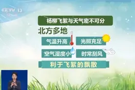 飞絮从哪来？为何此时多？做到这四点远离恼人飞絮图片