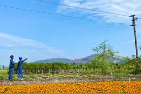 供电可靠性连续13年位居全国前十，这是万亿佛山“电”名片！图片
