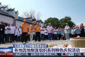 赛马大会、稻田抓鸭……全国各地组织特色活动礼赞“丰收中国”图片