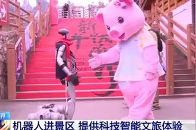 现场表演、引导游客检票……机器人提供高品质文旅体验图片