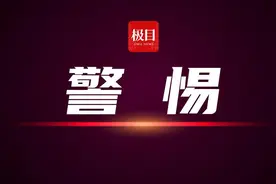 以赌博之名行诈骗之实，“出老千”团伙难逃法网图片