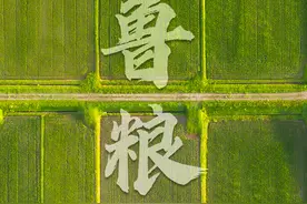 农机“吸粉” 小麦“跨界” 齐鲁粮仓单产、总产有望创历史新高图片