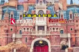 上海迪士尼年卡回归但涨价了图片