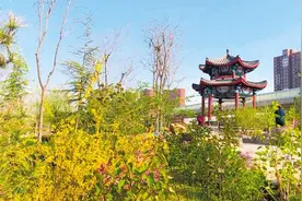 与春天相约！石家庄推出公园广场春季赏花地图→图片