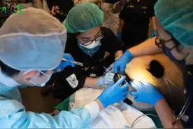 台北动物园大熊猫圆宝体检报告来了图片