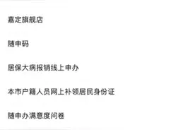 上海首创网上助残服务大厅，“阳光申办”平台助力“政策找人”图片
