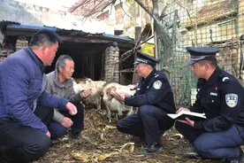 连续16年跻身全国前列 有啥秘籍图片