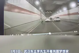 突遇行人迎面冲来，岚图梦想家AEB介入有惊无险图片