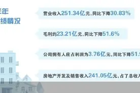 美的置业开发业务“潜水”度周期图片