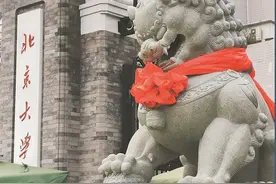 跻身高等学府，弘扬中华文化，融合东西方艺术精华 泉州石狮子特别“有文化”图片