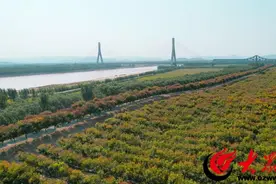时序不辍大河汤 吾心昭煌抒华章——东阿黄河河务局黄屯管理段幸福河建设纪实图片