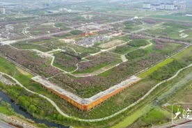 春游江淮请您来｜快来固镇樱花园赏“绿樱”吧图片