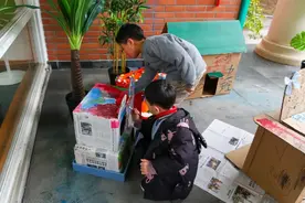 变废为宝！松江萌娃打造温暖猫屋图片