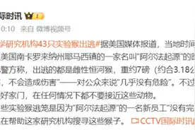 43只实验猴从医学研究机构逃脱！警方：没有感染任何疾病，不会造成伤害图片