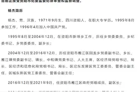四川资阳高新技术产业园区党工委委员、管委会副主任杨杰被查图片