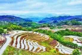 梯田美景图片