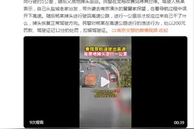 看错导航误驶出高速 司机竟掉头逆行一公里图片