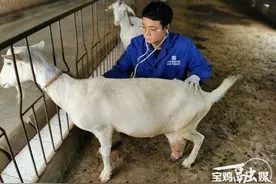 不负青春逐梦行——记宝鸡陇县返乡创业大学生李博图片