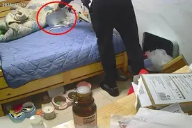 家里进贼，猫猫踹门求助，网友：立大功啦图片