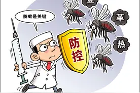 民生直通车：国际旅行警惕登革热，预防是关键图片