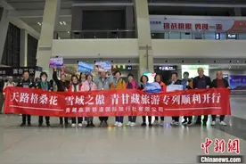 今年首趟青甘藏大环线旅游专列进藏 游客将游览拉萨林芝日喀则三地图片
