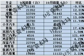 新势力10月成绩单：9家车企创历史新高，智己阿维塔环比翻倍图片