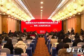 湖南省文化产业管理研究会在长沙成立图片